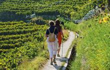 Marlinger Waalwege in Südtirol